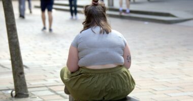 REVEALED: Fattest states in America ranked... including region where three-quarters of residents are obese