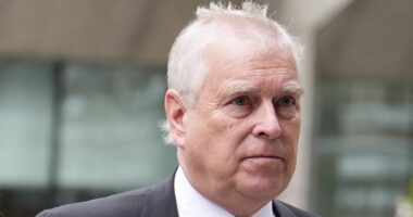 ROBERT JOBSON: Disgusting truth about sordid items at Andrew's party