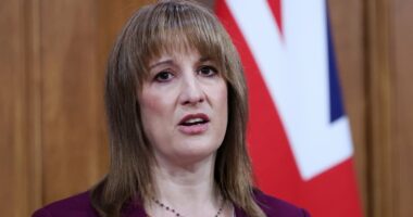 Rachel Reeves 'can't tax her way to growth', warns CBI head