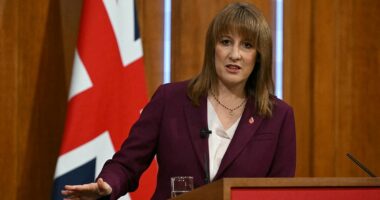 Rachel Reeves 'is set to announce a milkshake tax'