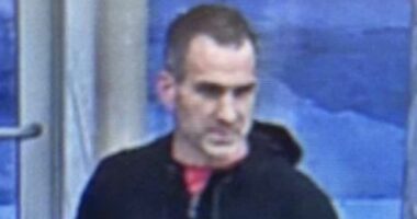 'Radical lunatic' arrested for attack on Trump lawyer's office