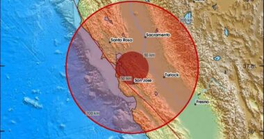 Rapid earthquake swarm rocks California in one day