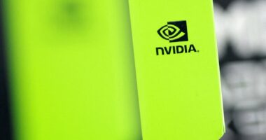 Record-breaking Nvidia defies AI bubble gloom: Shares jump on latest update