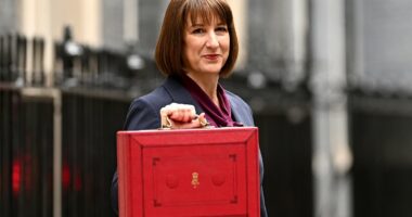 Reeves warned against 'reckless' £4b raid on salary sacrifice schemes