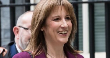 Reeves will target middle-class with new £600million 'mansion tax'