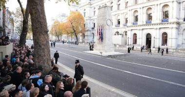 Remembrance Day RECAP: Royals' tears for proud veterans at the Cenotaph after those killed in conflict are honoured