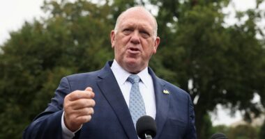 Report: ICE weighed down by unqualified candidates