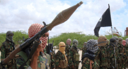 Report: MN Somali Medicaid Fraud Investigation Reveals Terrorist Link — 'Largest Funder of Al-Shabaab is the Minnesota Taxpayer'