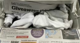 Reptile smuggler sentenced after hiding lizards in boots and socks