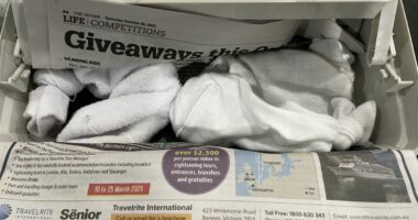 Reptile smuggler sentenced after hiding lizards in boots and socks