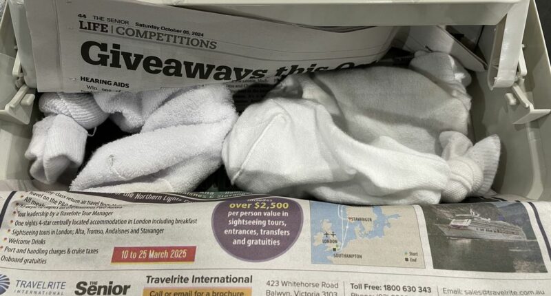 Reptile smuggler sentenced after hiding lizards in boots and socks