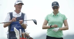 Revealed: Ex-Premier League ref Mike Dean's unusual new job in another sport - after he quit because he hated VAR work