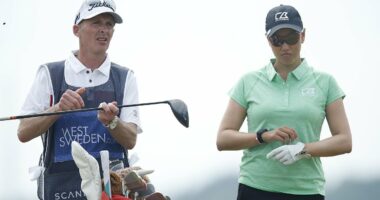 Revealed: Ex-Premier League ref Mike Dean's unusual new job in another sport - after he quit because he hated VAR work