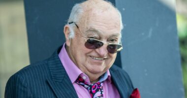 Revealed: The masterminds behind the briefcase robbery