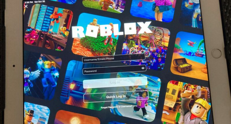 Roblox begins requiring selfies for chat feature, verified with a government ID or AI