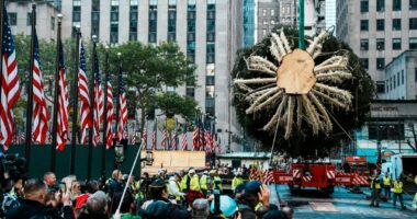 Rockefeller Center Christmas tree arrives in Manhattan, kicking off New York's holiday season