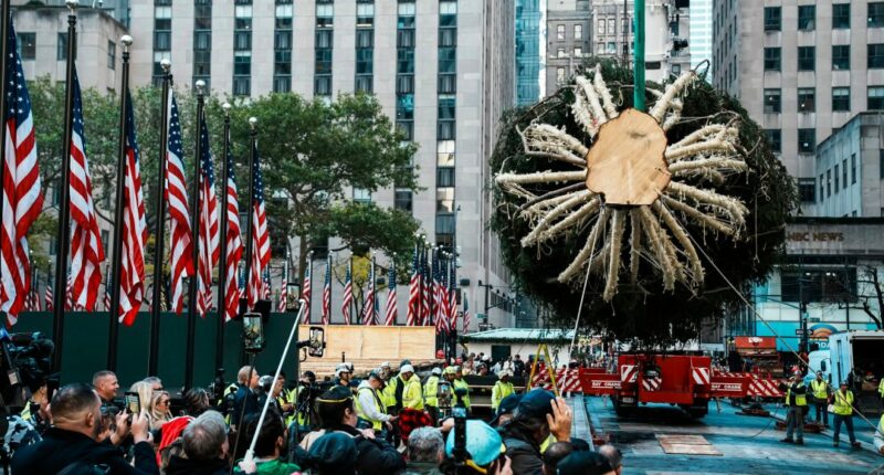 Rockefeller Center Christmas tree arrives in Manhattan, kicking off New York's holiday season