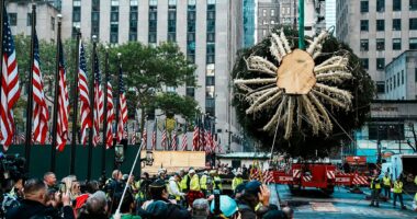 Rockefeller Center Christmas tree arrives in NYC