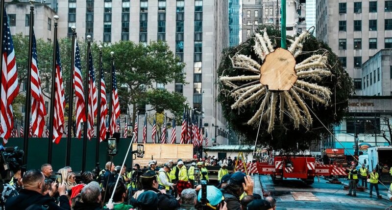 Rockefeller Center Christmas tree arrives in NYC