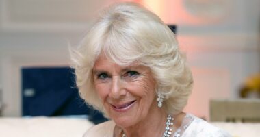 SARAH VINE: Camilla cheekily dismissed Kate's glossy influencer-style video as 'like a shampoo commercial' and I think I know exactly how the Princess of Wales would have reacted