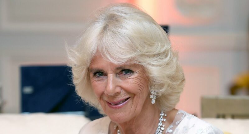 SARAH VINE: Camilla cheekily dismissed Kate's glossy influencer-style video as 'like a shampoo commercial' and I think I know exactly how the Princess of Wales would have reacted