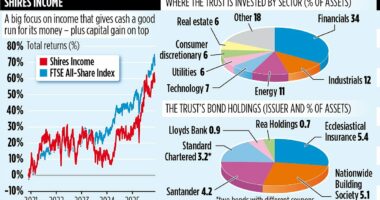 SHIRES INCOME is willing to go its own way for a big pay day