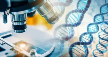 SMALL CAP MOVERS: One-hour genetic test innovator boasts Saudi pilot scheme