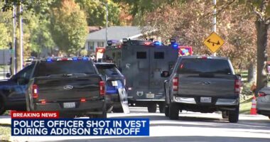Salvador Lozano charged with attempted murder for Addison shooting, police standoff in 200-block of East La Porte Drive: officials