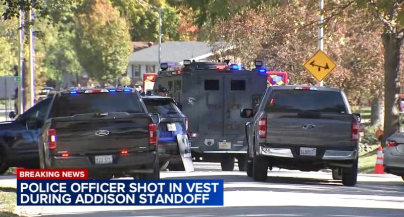 Salvador Lozano charged with attempted murder for Addison shooting, police standoff in 200-block of East La Porte Drive: officials