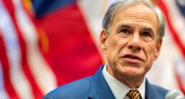 Save the maps: States should abandon redistricting after Texas loss