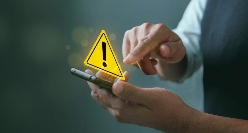 Scammers targeting owners of lost pets in Indianapolis