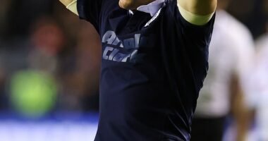 Darcy Graham is left dejected as Scotland go down fighting against the All Blacks