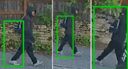 Seattle robber bites off 88-year-old woman's finger during attack