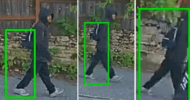 Seattle robber bites off 88-year-old woman's finger during attack