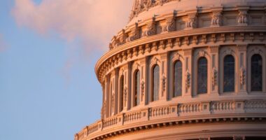 Senate Passes Bill To End Government Shutdown