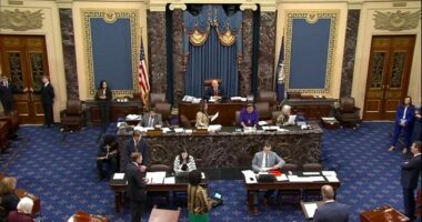 Senate approves bill to end longest government shutdown in US history