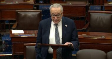 Senate approves bill to unleash Epstein files - sending to Trump for signature