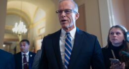 Senate votes 60-40 to end government shutdown, now it’s on to the House