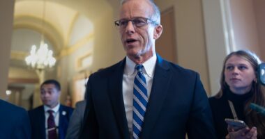 Senate votes 60-40 to end government shutdown, now it’s on to the House