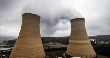 Mt Piper power plant
