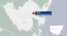 Seven charged after police officers assaulted during arrest in NSW