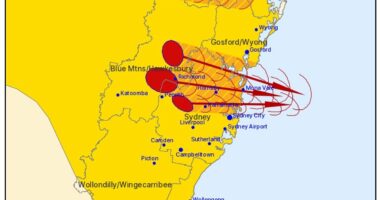Severe storm warning issued for NSW as heatwave strikes
