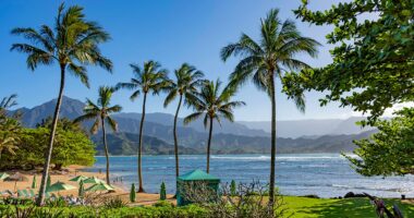 Shark attack leaves beachgoers shaken as popular tourist haven goes on alert