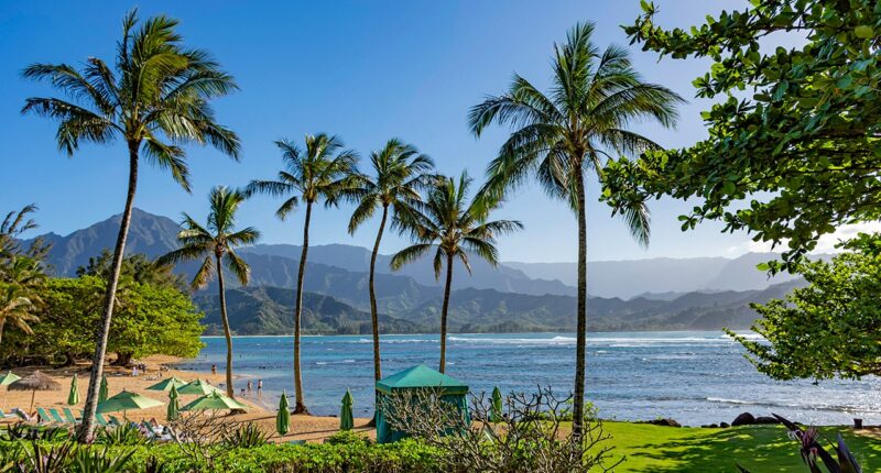 Shark attack leaves beachgoers shaken as popular tourist haven goes on alert