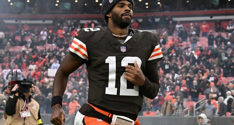 Celebrity Net Worth logo