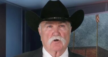 Sheriff slams agencies for releasing migrant who caused horror crash