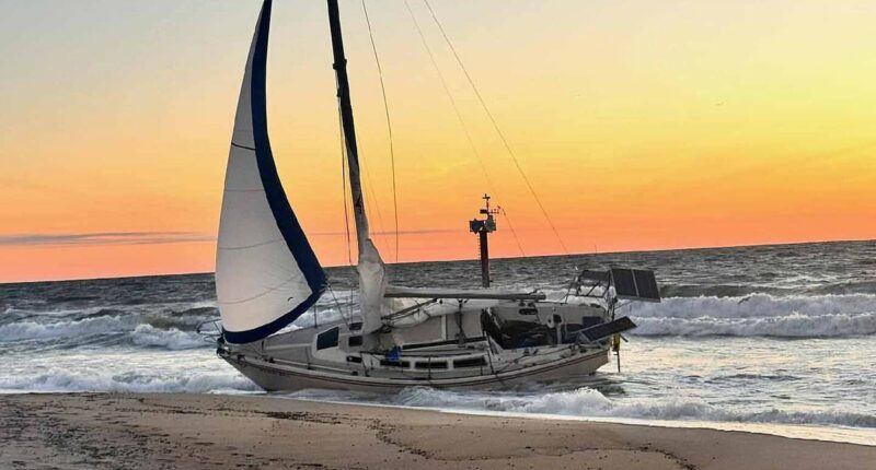 Shipwrecked captain goes from instant celebrity to missing man