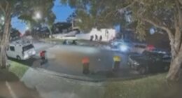 Shock CCTV shows moment man is snatched off the street in Sydney