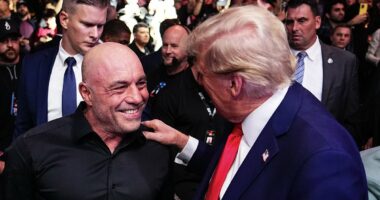 Shocking extent America has turned on Trump's ICE army is revealed