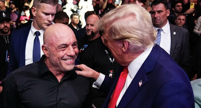 Shocking extent America has turned on Trump's ICE army is revealed